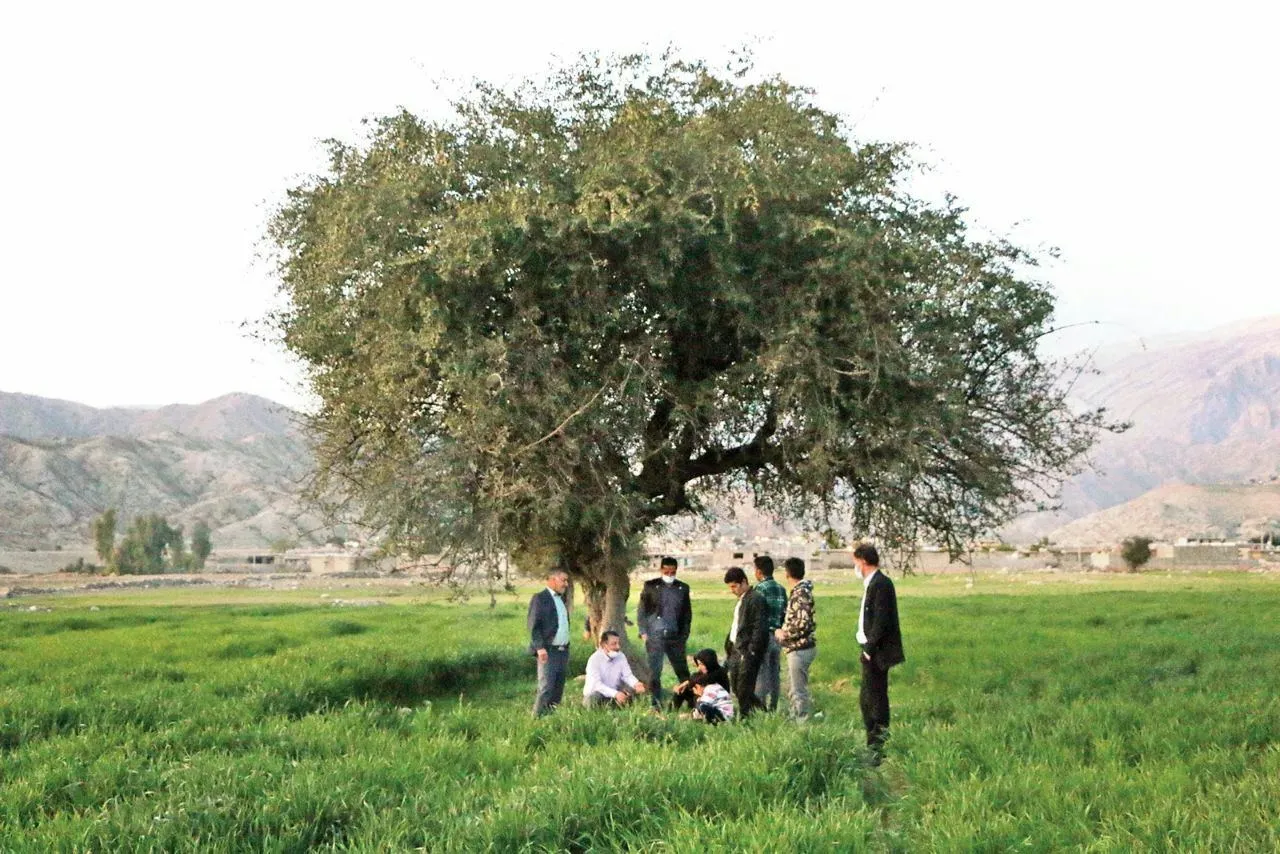 گزارش روزنامه هم میهن از روستای معروف به مال استریت پس از سقوط بورس