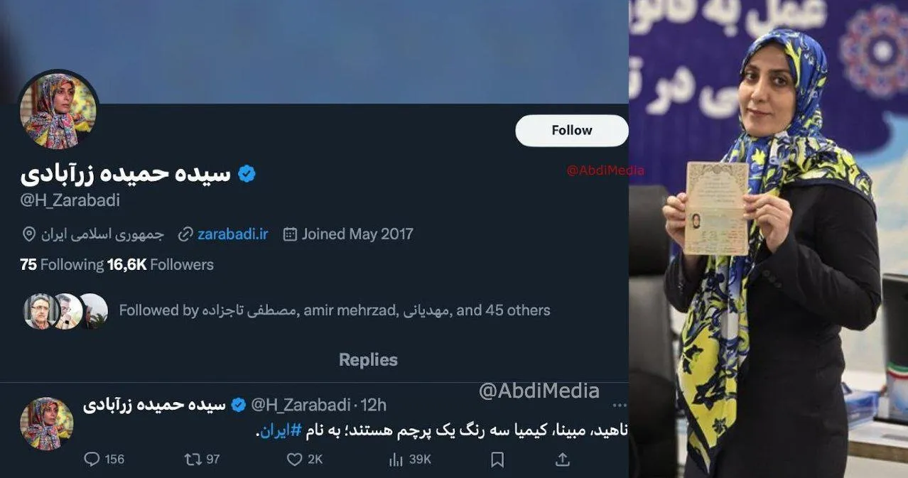 دکتر سیده حمیده زرآبادی در ساحت سیاست جمهوری اسلامی