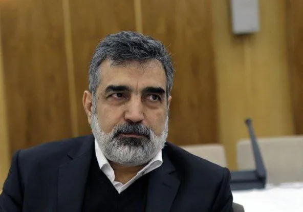 سخنگوی سازمان انرژی اتمی: پرونده هسته‌ای را بسیار پیچیده و سیاسی کرده‌اند