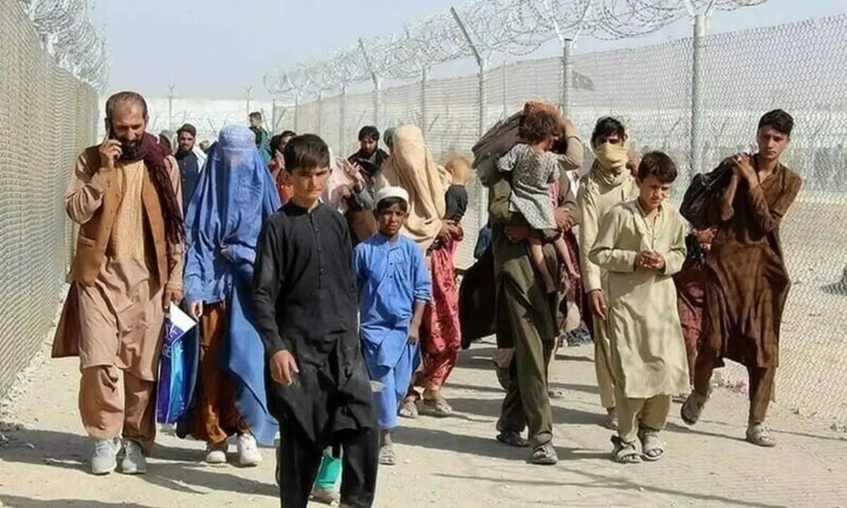 جمهوری اسلامی: زادوولد فراوان مهاجران افغان حساب شده است/چرا مسئولان فکری به حال مافیا و آقازاده ها نمی‌کنند؟/ کسی به دانه درشت های رمزارز کاری ندارد
