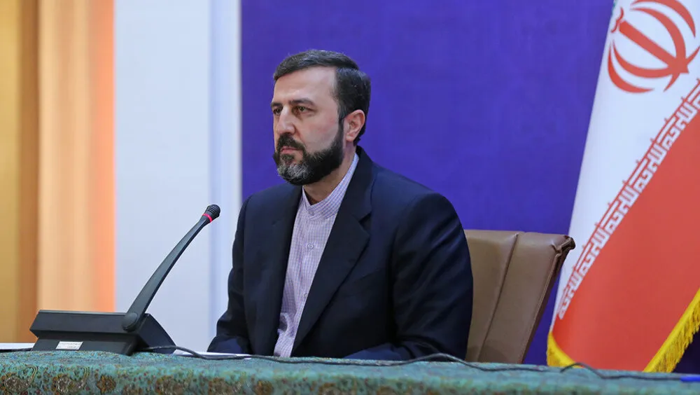 هشدار معاون حقوقی وزیر خارجه: تمام گزینه‌ها روی میز است