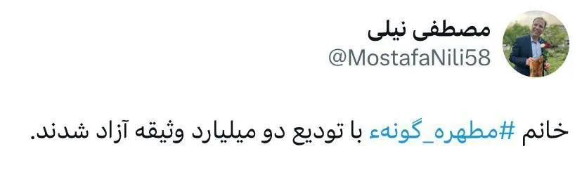 مطهره گونه‌ای با تودیع وثیقه دو میلیاردی آزاد شد.
