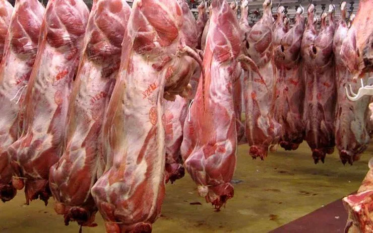 مدیرکل تعزیرات حکومتی تهران:شعبه ۴۰ بدوی تعزیرات حکومتی تهران به تخلف گرانفروشی ۳۱ هزار و ۷۳۸ کیلوگرم گوشت قرمز به ارزش ۲۶ میلیارد و ۷۹۰ میلیون ریال یک فروشگاه رسیدگی کرد.