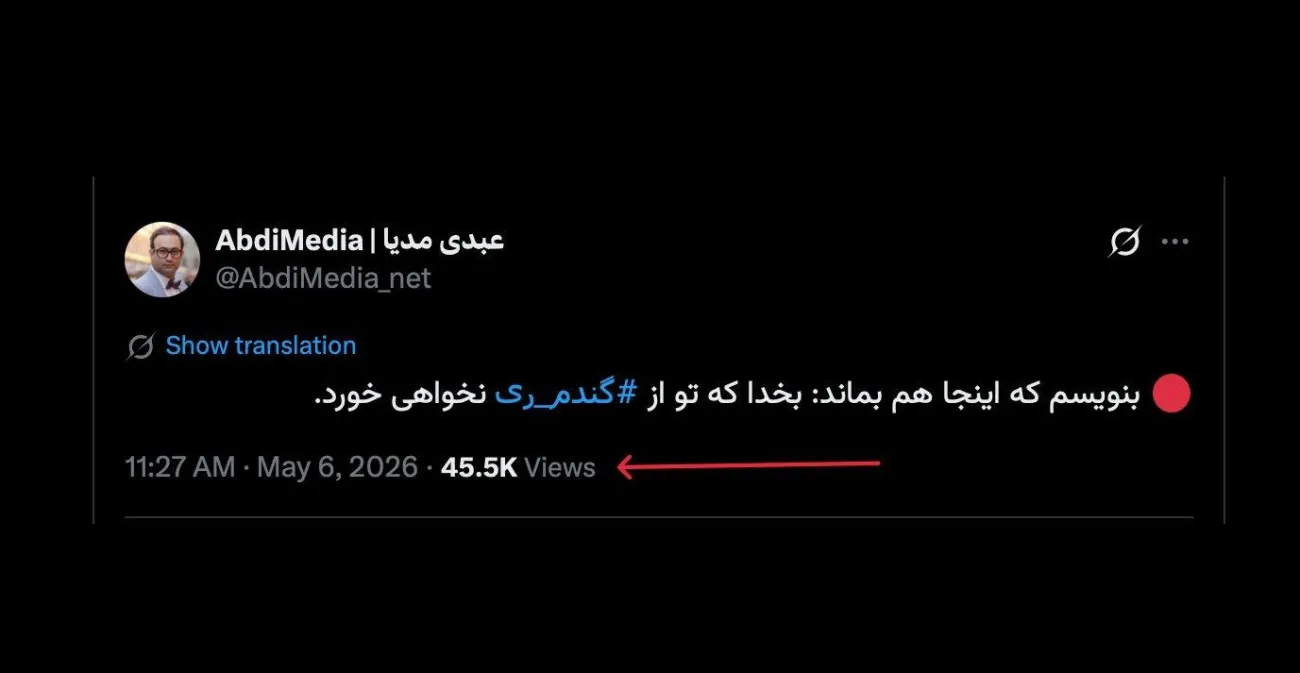 در حساب جدید توییتر هم نوشتم که بماند: بخدا که تو از گندم ری نخواهی خورد.