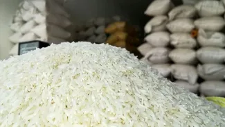  عارف: عده‌ای تمام برنج‌ها را به‌نحوی پیش‌خرید کردند و برنج ۳۰۰ هزار تومان شد