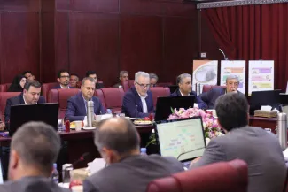 seyed-ali-madani-zadeh