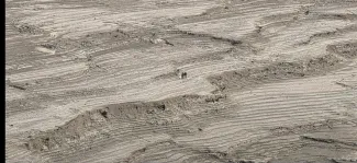 عکس: رضا مستوری