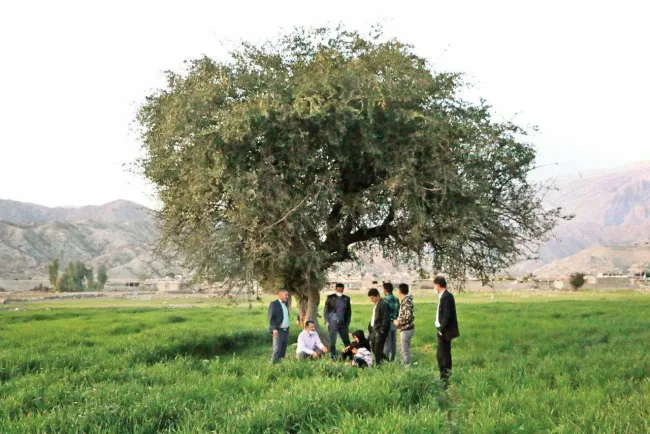 گزارش روزنامه هم میهن از روستای معروف به مال استریت پس از سقوط بورس