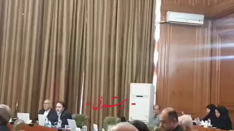 مهدی پیرهادی ؛رییس کمیسیون سلامت شورا نسبت به خشک شدن درختان تهران در پارک های جنگلی و معابر هشدار داد و گفت برخی درختان به دلیل آفت خشک شده‎اند اما برخی به دلیل کم آبی است