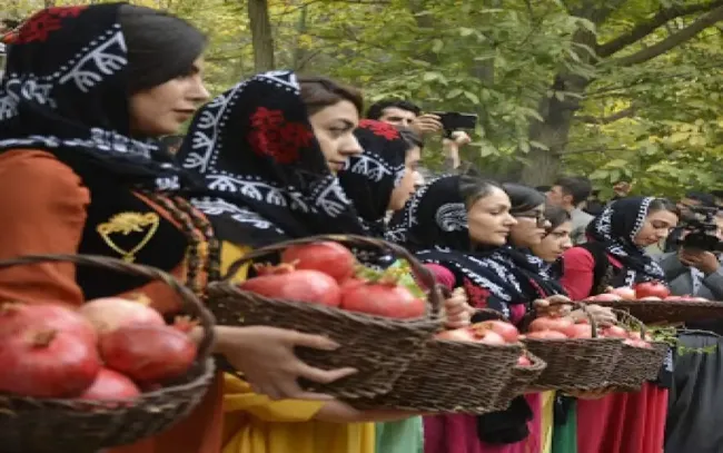 جشنواره انار، آبان ماه ۱۴۰۳ کردستان، سروآباد، روستای سلین