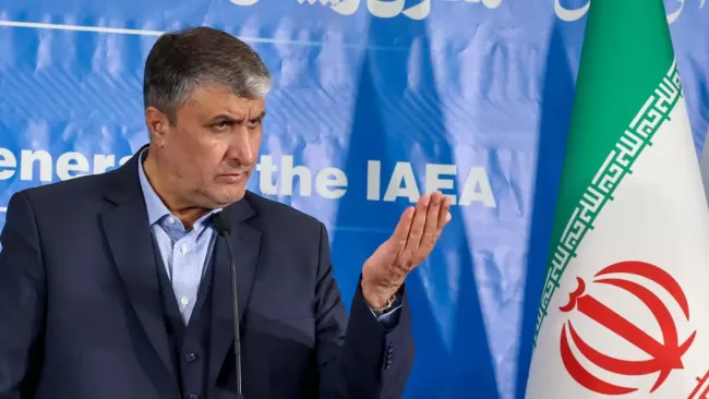 اسلامی: جمهوری اسلامی هیچگونه فعالیتی خارج از چارچوب آژانس ندارد