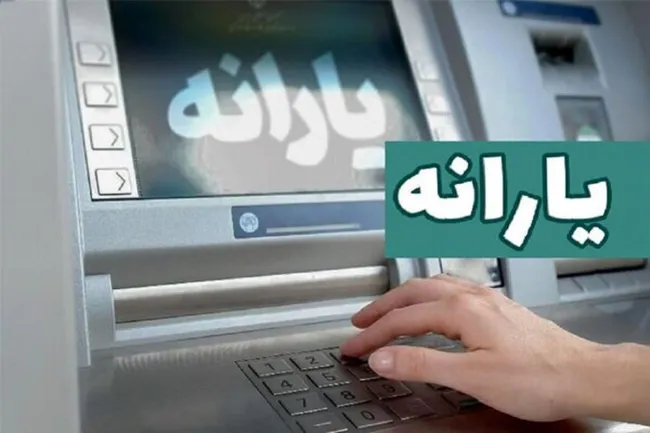 مجلس اختیار پرداخت نقدی یا غیرنقدی یارانه را به دولت واگذار کرده است