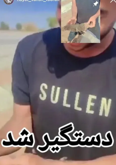  بازداشت مردی که یک گنجشک را آزار میداد / فیلمش در فضای مجازی پربازدید شد و مردم خواستار برخورد با او شده بودند