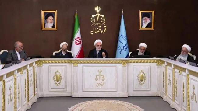  یک ماده قانونی که رئیس قوه قضائیه در مورد کمیت و چگونگی اجرای آن حساسیت و سختگیری ویژه دارد