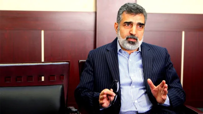 سخنگوی سازمان انرژی اتمی