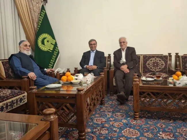 استاندار خراسان رضوی به دیدار علی اکبر ناطق نوری رفت.