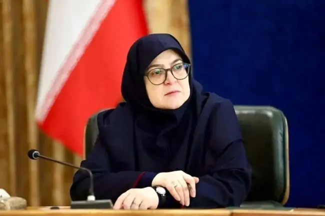 مهاجرانی: می‌دانیم قطع برق‌ مشکلاتی ایجاد می‌کند/ تمرکز دولت بر صنعت است لذا قسمتی از قطع برق را به سمت خانگی‌ها سوق داده است