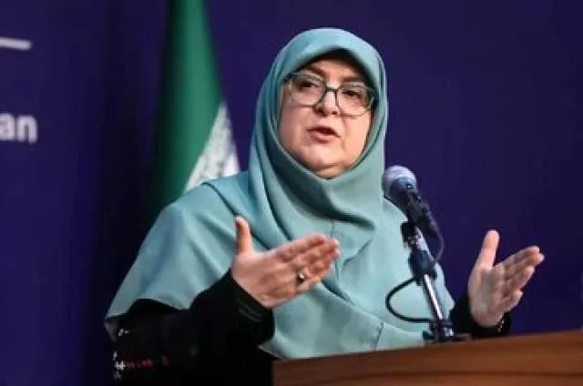  افزایش چشمگیر انتقادات کاربران فضای مجازی به اظهارات سخنگوی هیات دولت