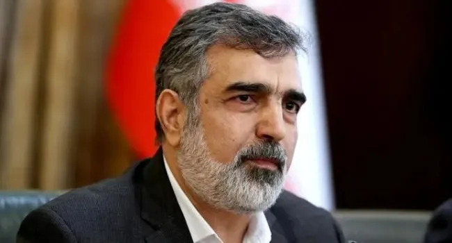 سخنگوی سازمان انرژی اتمی: غنی سازی به شکل چشمگیری افزایش خواهد یافت 