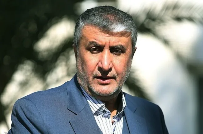 بشنوید | واکنش صریح محمد اسلامی رئیس سازمان انرژی اتمی نسبت به نامه تند اخیر آژانس بین‌المللی انرژی اتمی 