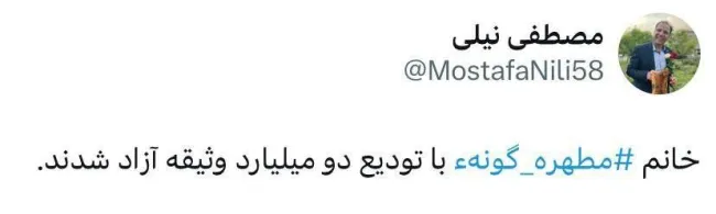 مطهره گونه‌ای با تودیع وثیقه دو میلیاردی آزاد شد.