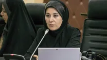 در آمریکا بعد از ۱۱ سپتامبر، دولت، قانونی را تصویب کرد که به موجب آن، همه مهاجران را می‌شد بازداشت و اخراج کرد